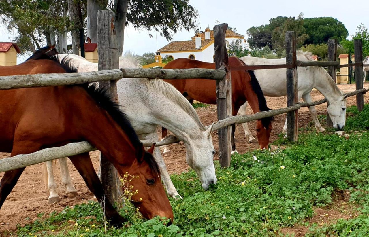 Posada Rural La Corbera أوتريرا المظهر الخارجي الصورة