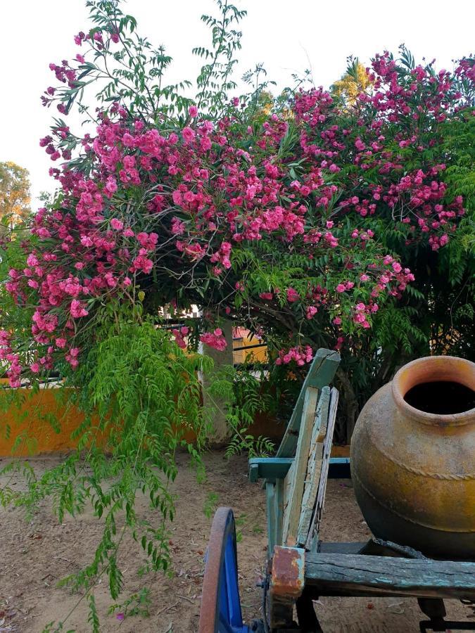 Posada Rural La Corbera أوتريرا المظهر الخارجي الصورة
