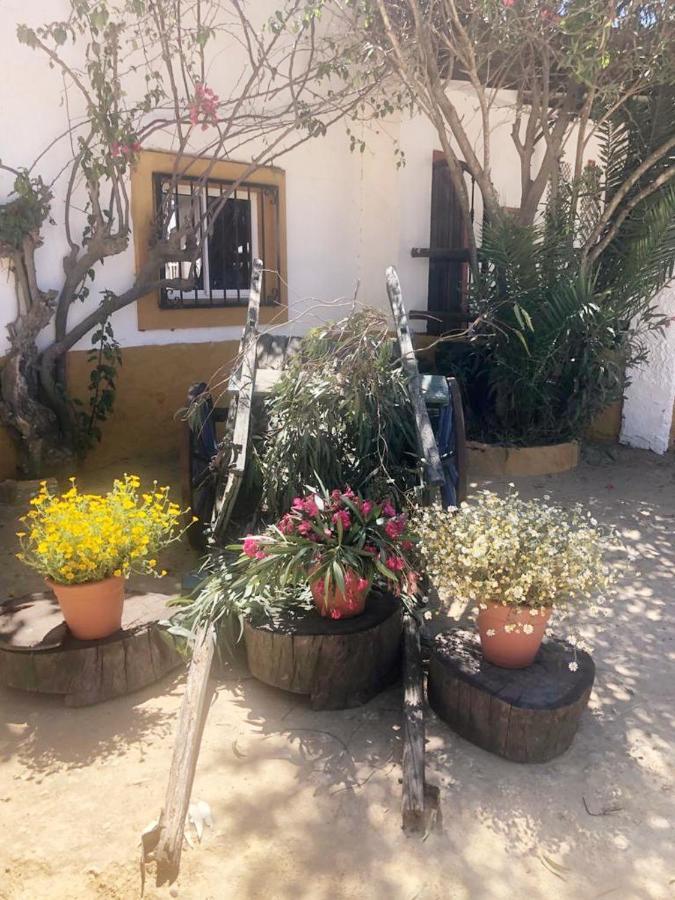 Posada Rural La Corbera أوتريرا المظهر الخارجي الصورة