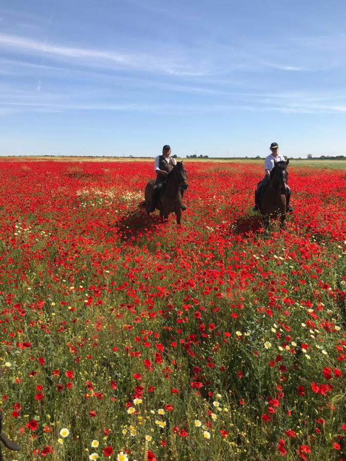 Posada Rural La Corbera أوتريرا المظهر الخارجي الصورة