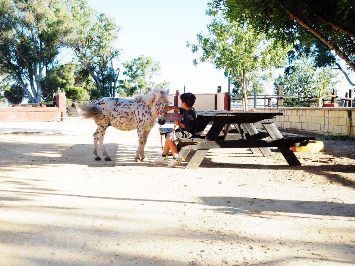Posada Rural La Corbera أوتريرا المظهر الخارجي الصورة